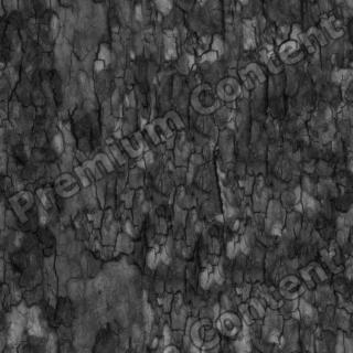 seamless tree bark wood bump 0002